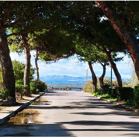 Appartement Dans Residence Calme Et Securisee Le Barcarès Dış mekan fotoğraf